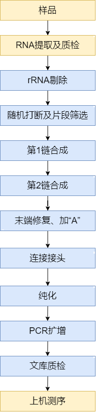lncRNA实验流程图.png