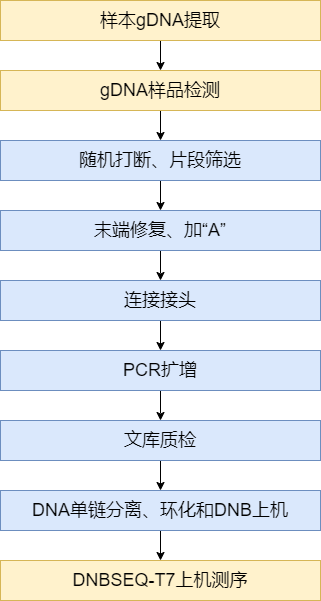 宏基因组实验流程.png