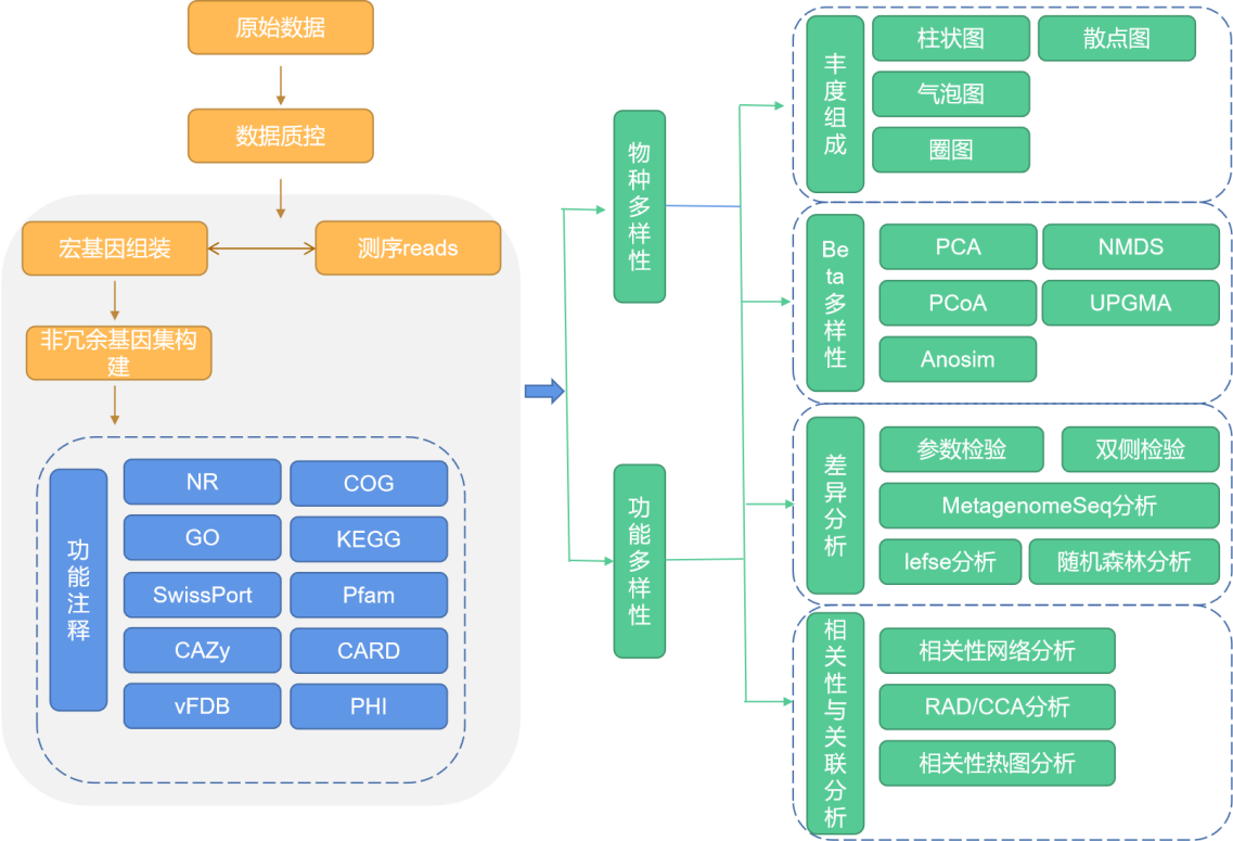 宏基因组分析流程.png