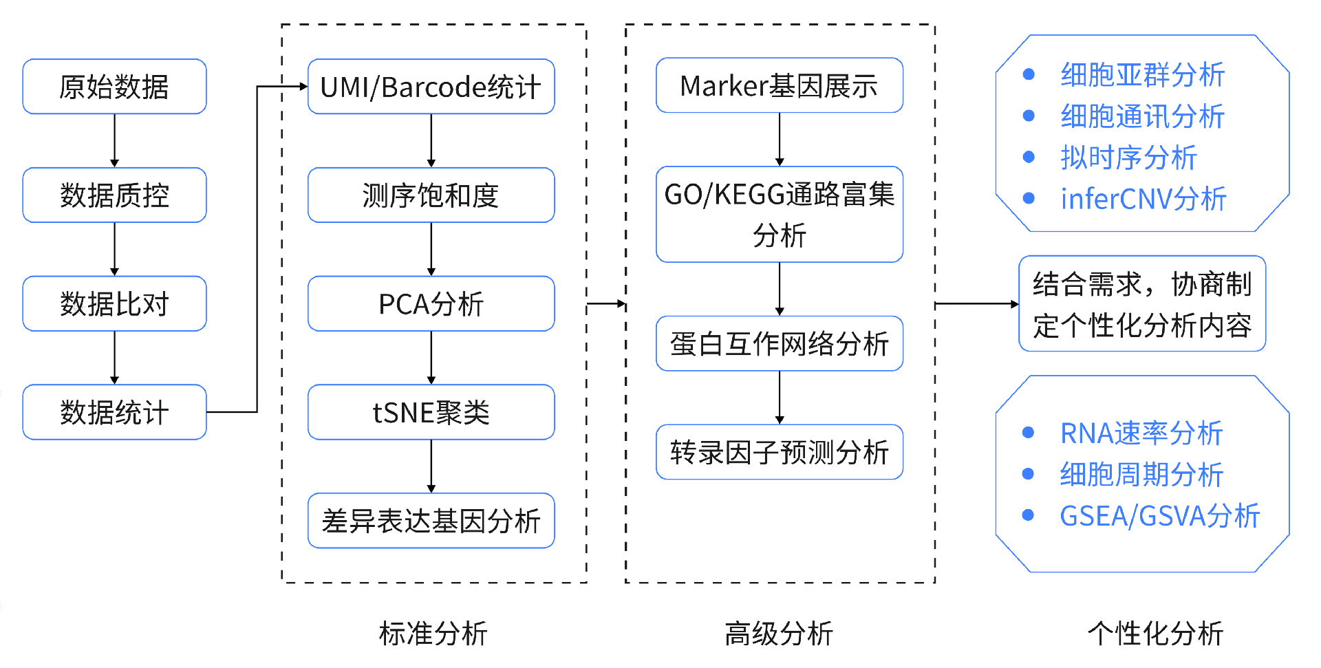 单细胞转录组分析流程(1)(2).png