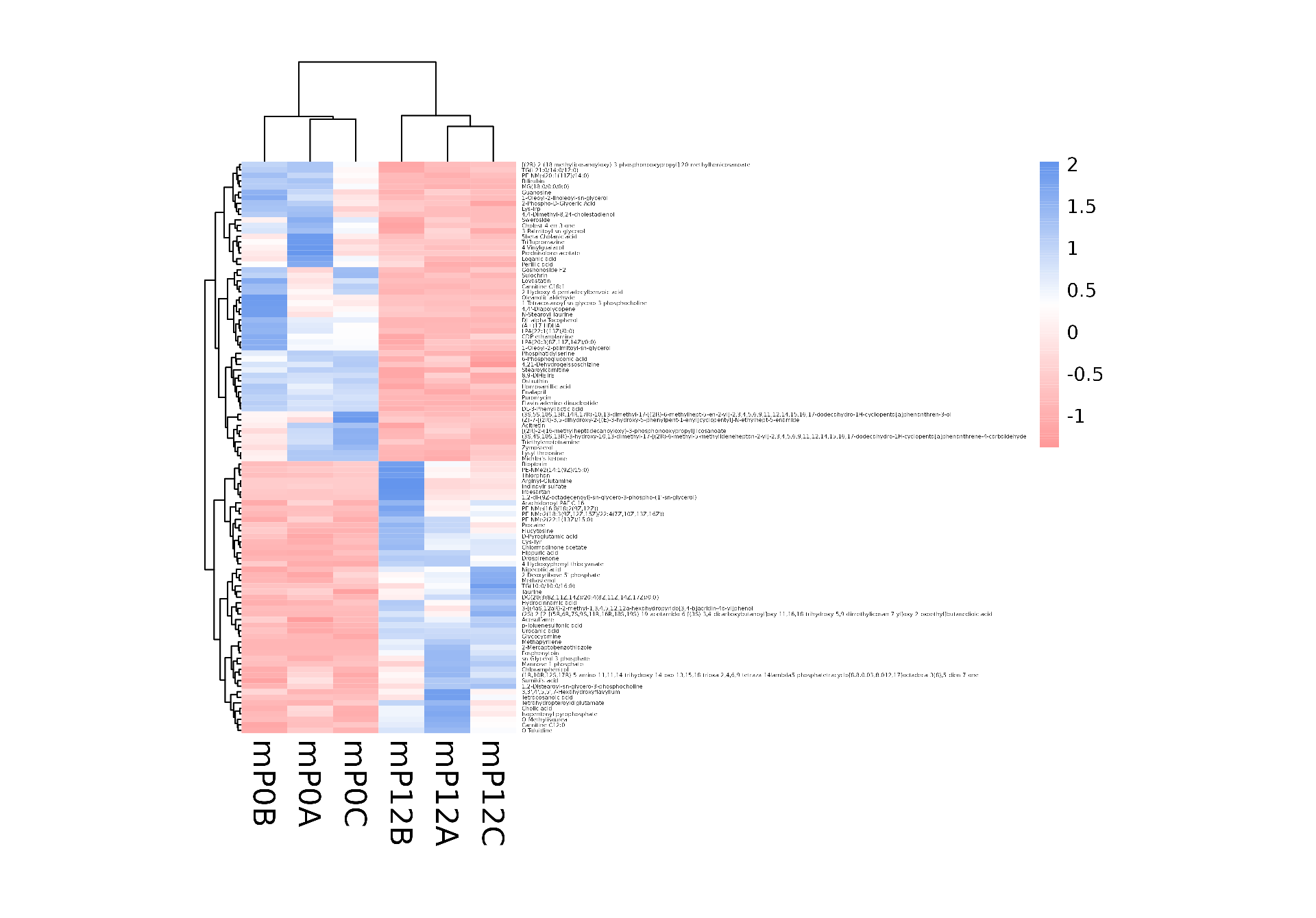 P0_vs_P12_merge_name_col_row_heatmap.png
