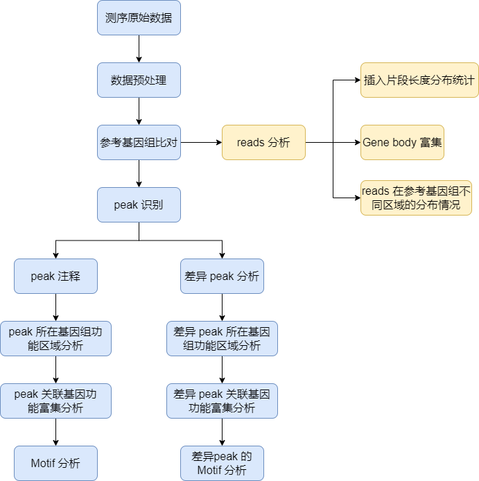 ATAC分析流程.png