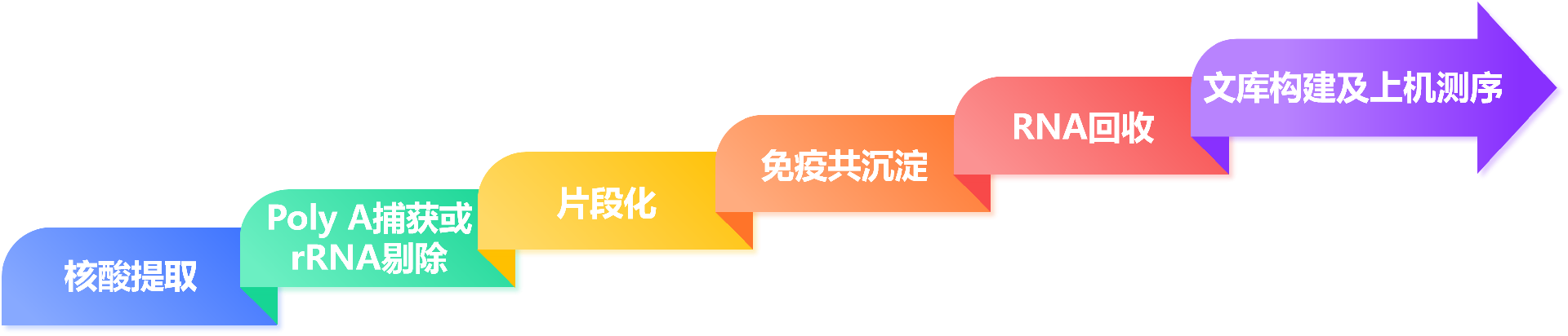 meRIP实验流程.png