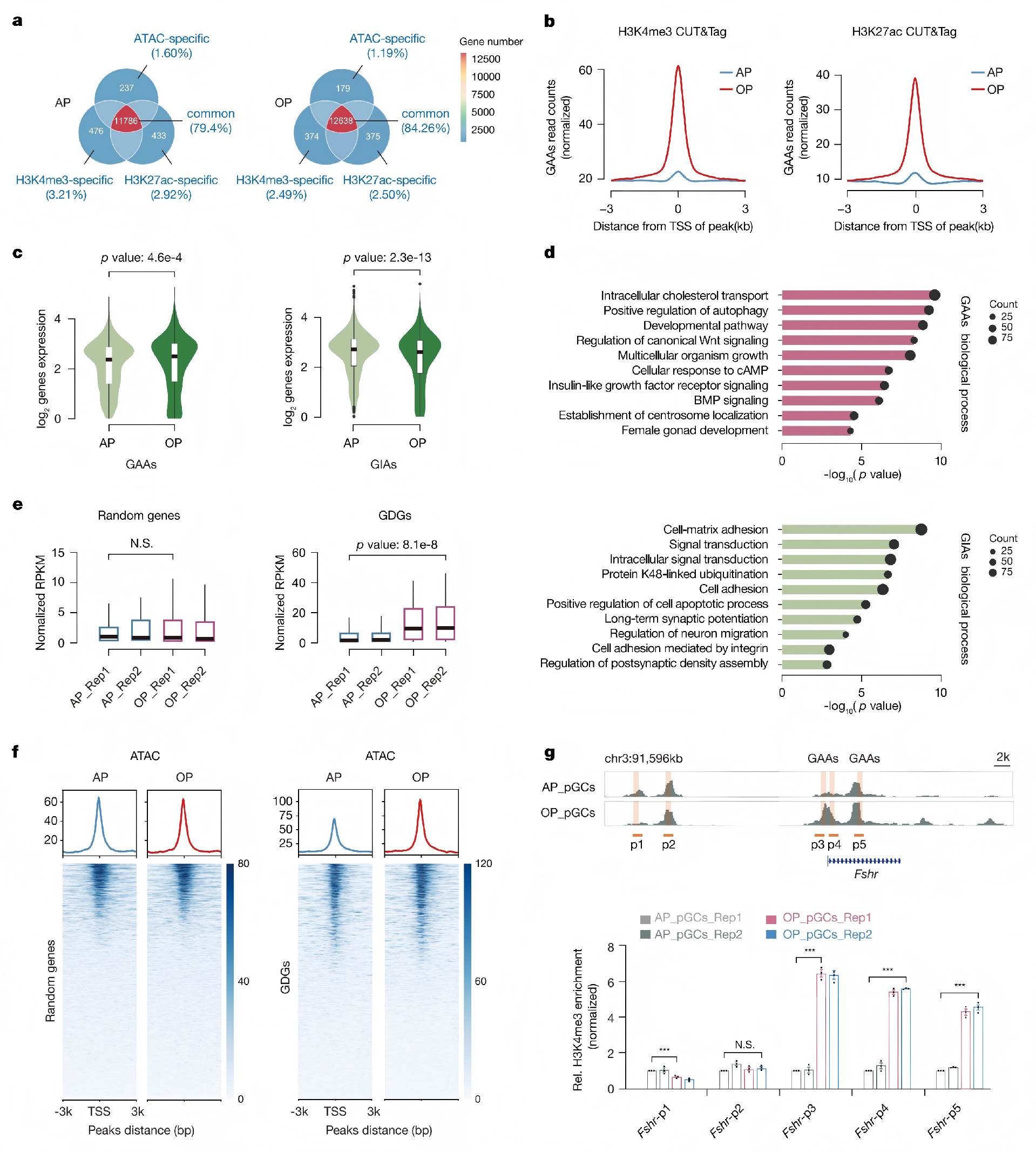 ATAC+CUT&tag+mRNA+scRNA_04.png