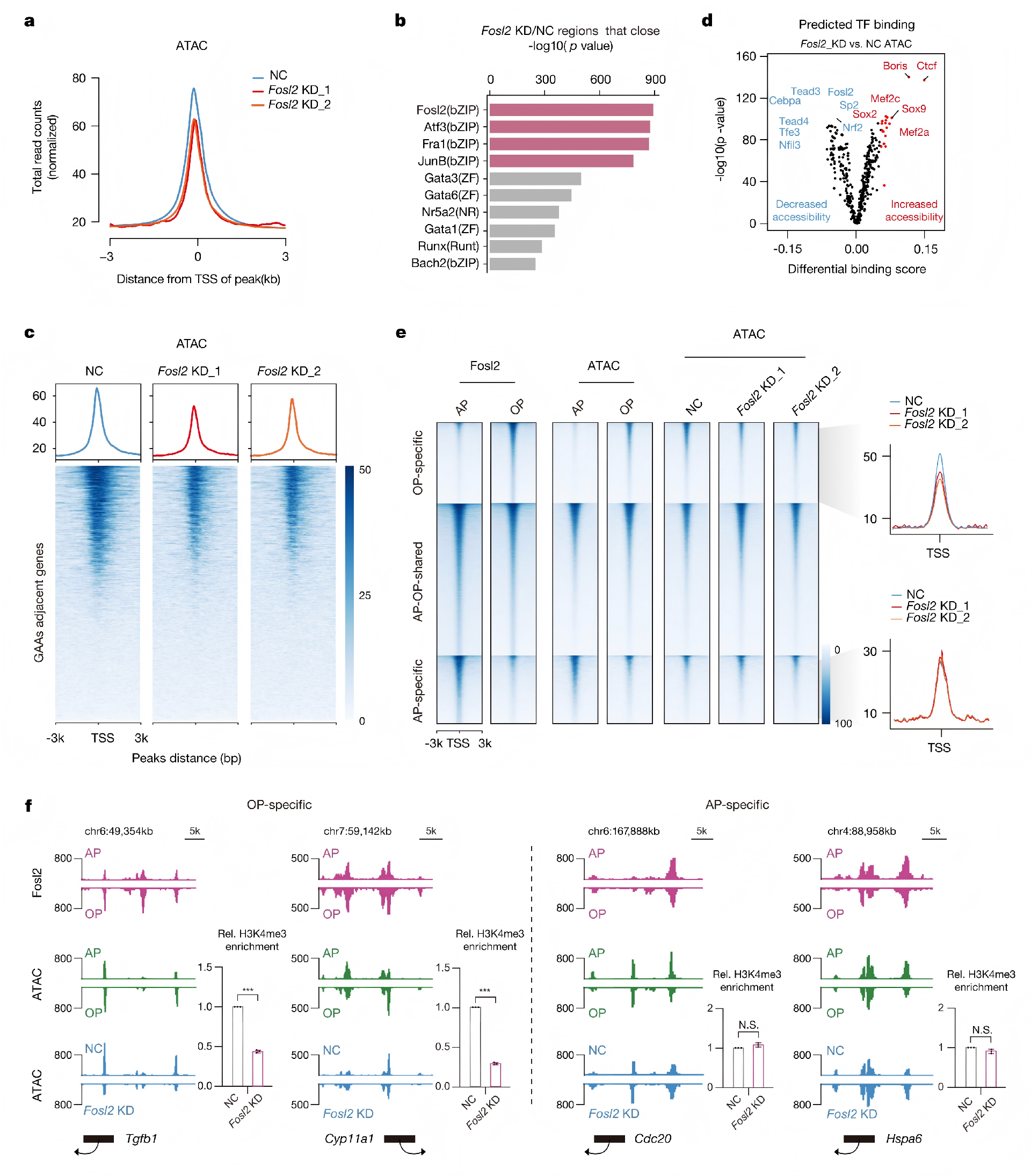 ATAC+CUT&tag+mRNA+scRNA_07.png