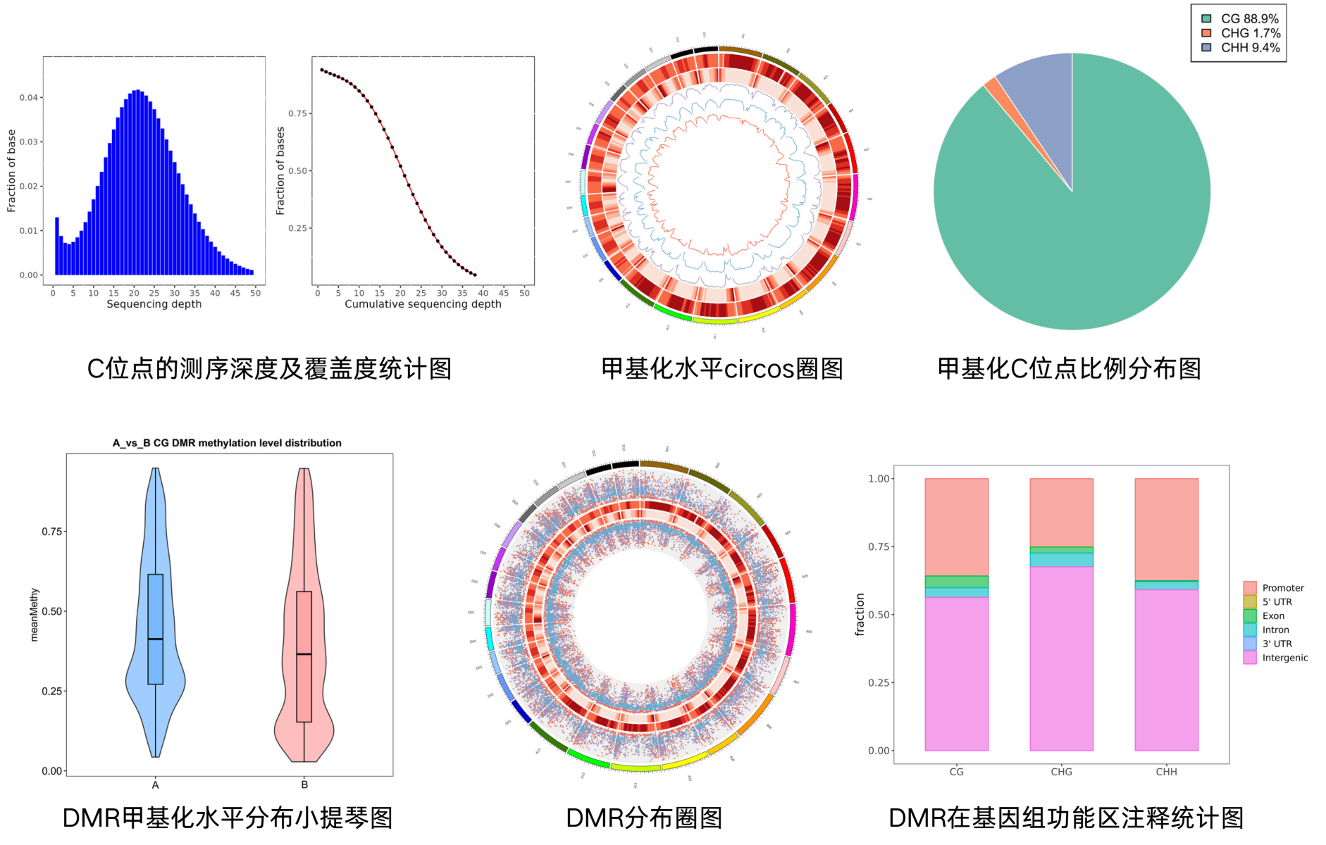 WGBS产品单页_02(1).png