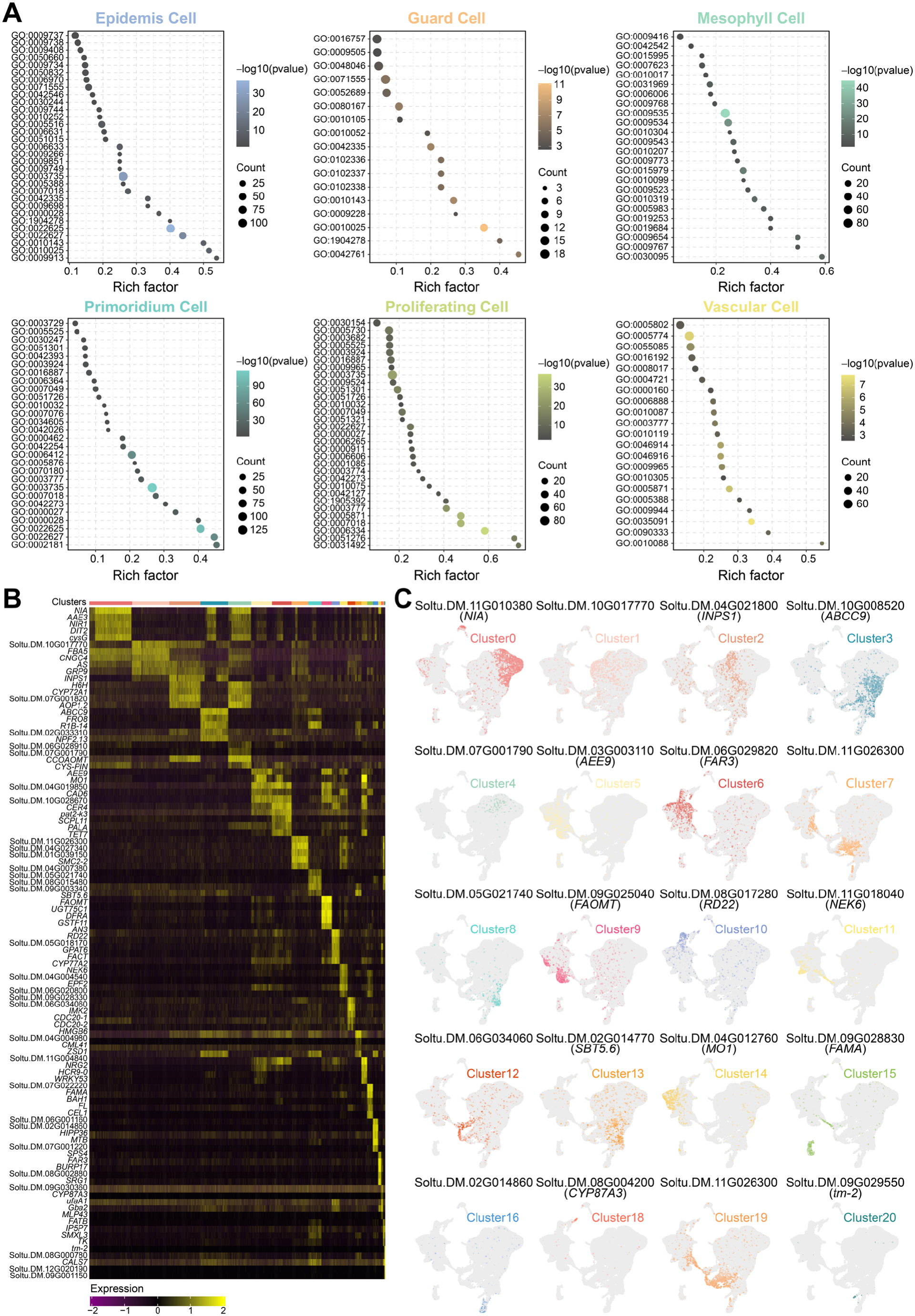 图片4.png